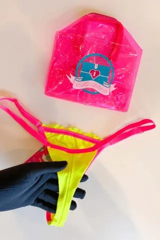Charlotte Panties Kit