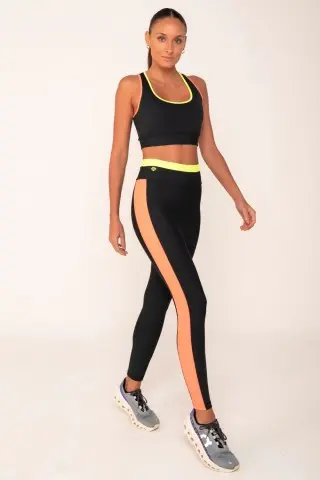 Top Compass Top Compass