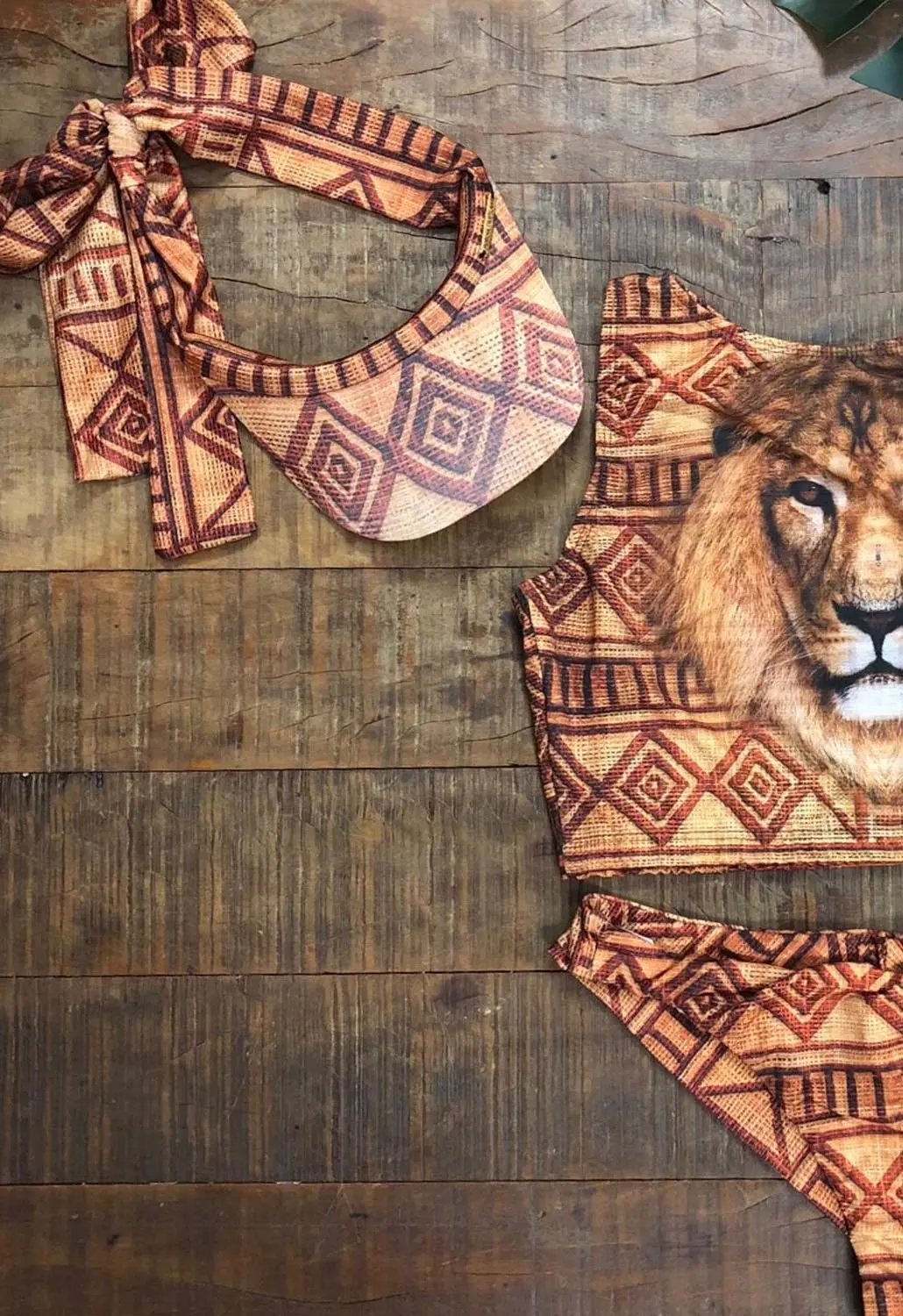 Lion Visor Lion Visor